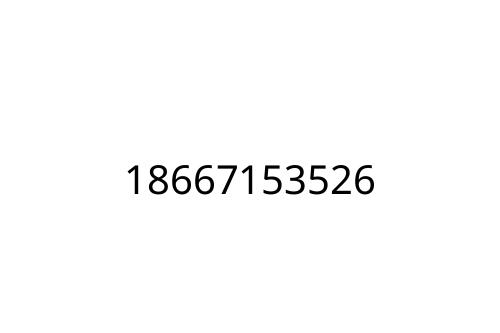 18667153526