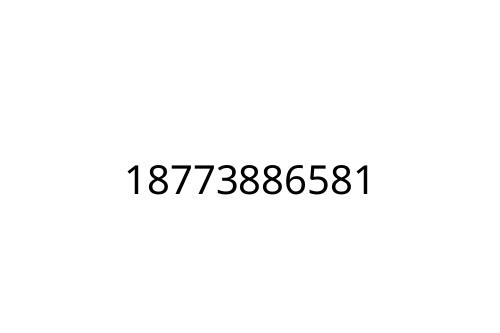 18773886581