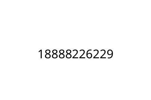18888226229