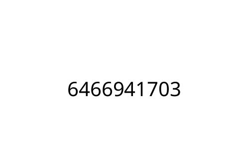 6466941703
