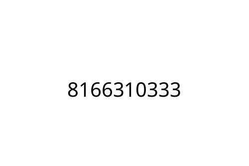 8166310333