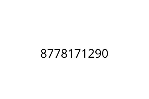 8778171290