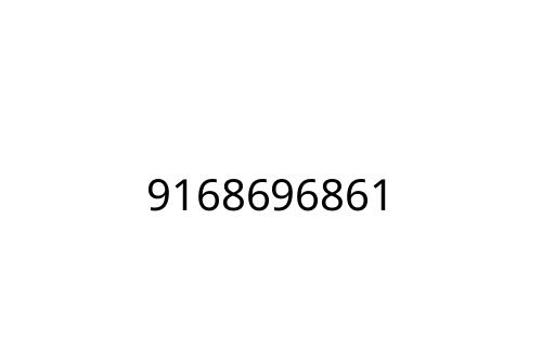 9168696861