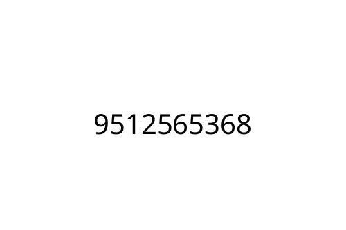 9512565368