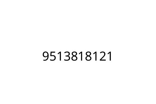 9513818121