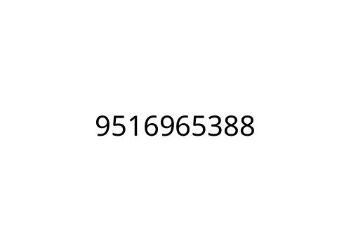 9516965388