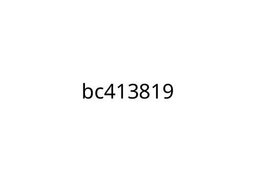 bc413819