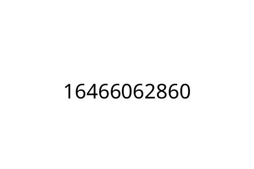 16466062860