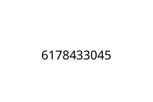 6178433045