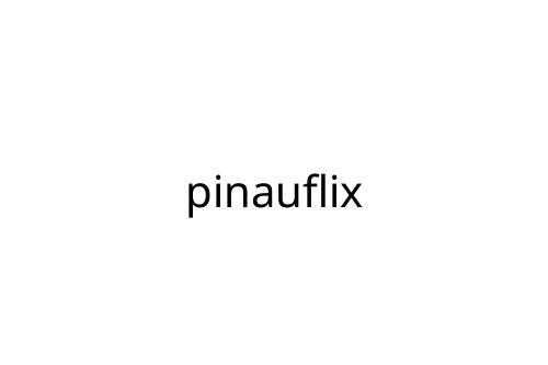 pinauflix