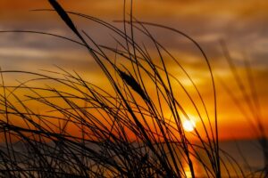 face creams with retinol and collagen