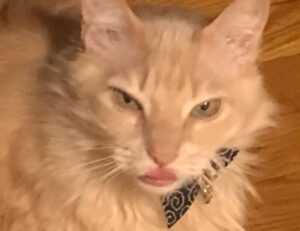 how to hacking zillexit software