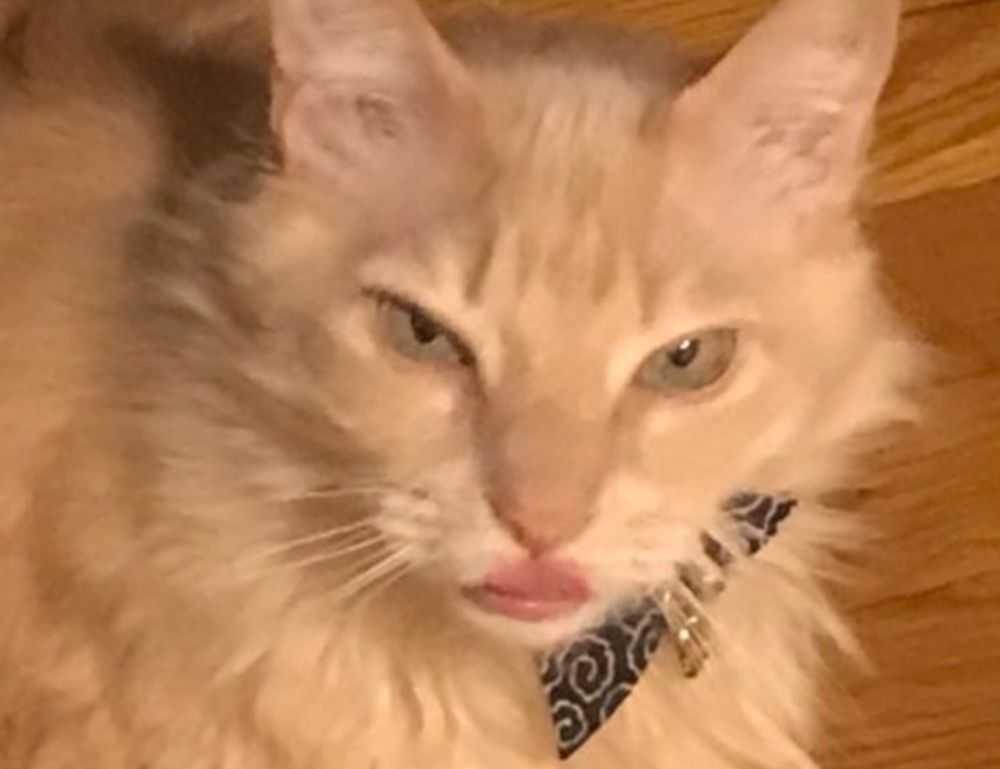 how to hacking zillexit software