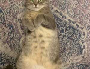 places to visit on the beevitius