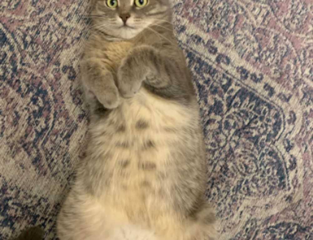 places to visit on the beevitius