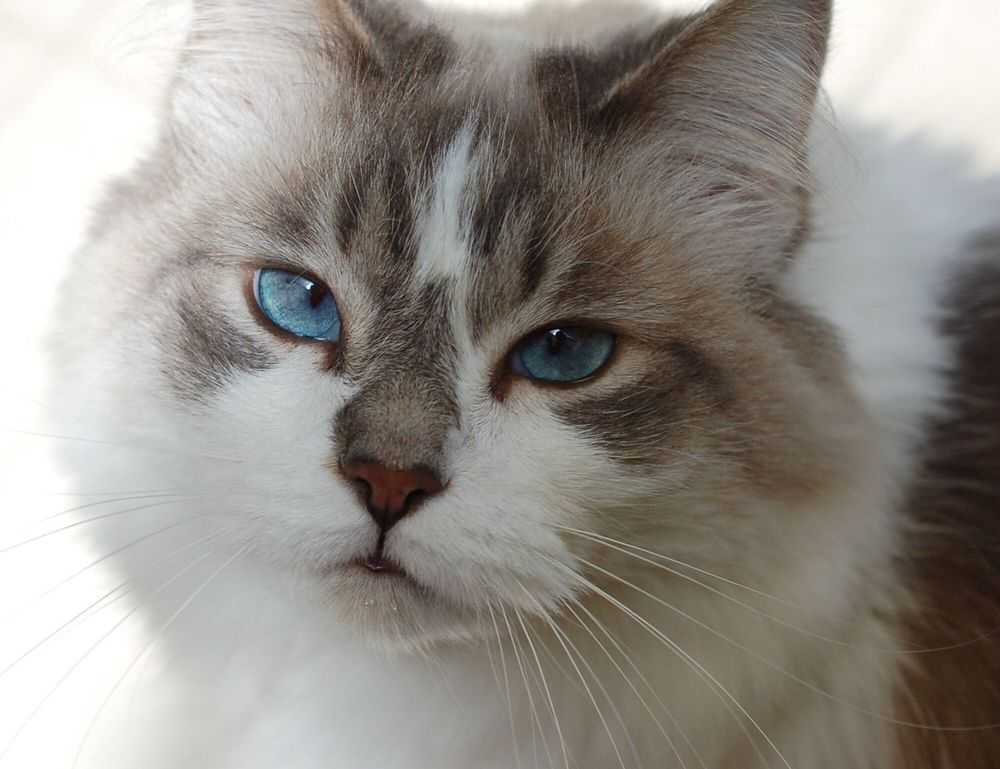 which area in beevitius is the best to stay