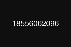 18556062096