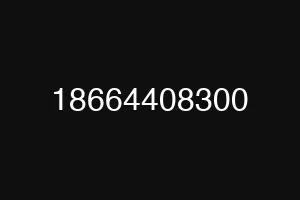 18664408300