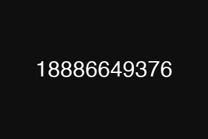 18886649376