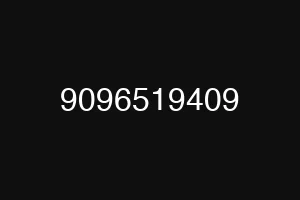 9096519409