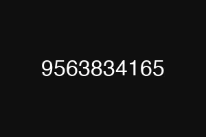 9563834165
