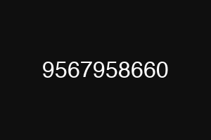 9567958660