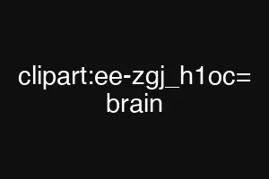 clipart:ee-zgj_h1oc= brain