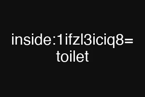 inside:1ifzl3iciq8= toilet